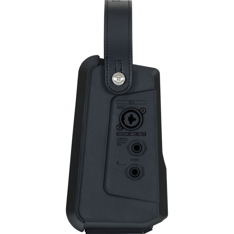 Roland Cube Street Mini