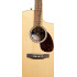 Martin SC-13E Modern