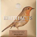 Knobloch EDN33.5 SN Erithacus Medium