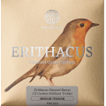 Knobloch EDC33.5 CX Erithacus Medium