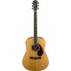 fender_paramount_pm-1_deluxe_dreadnougth_natural.jpg
