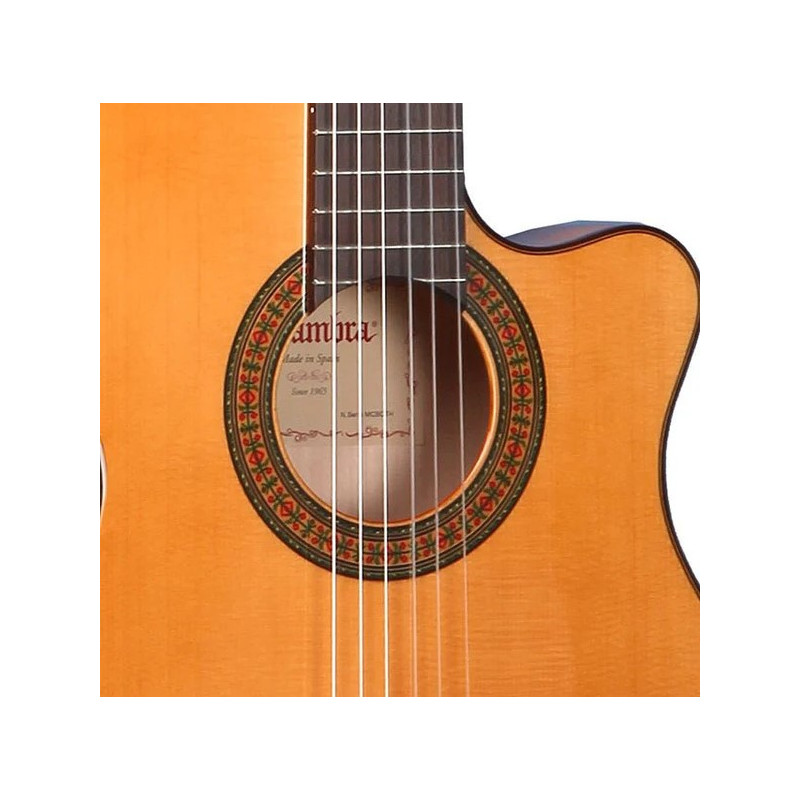 Alhambra 3F CT E1 Electric Guitar with Slim Neck