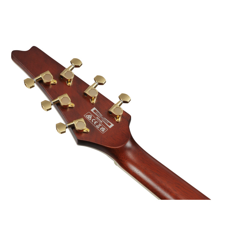 Ibanez IC420MFMCML Caramel Burst Low Gloss