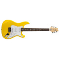 PRS SE Silver Sky Dandy Lion