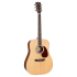 Cort Earth 100 NS