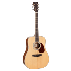Cort Earth 100 NS