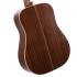 Cort Earth 100 NS