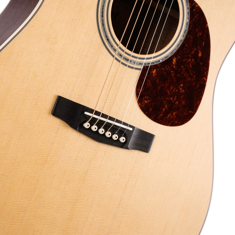 Cort Earth 100 NS