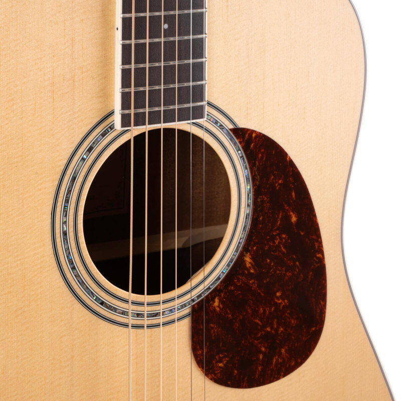 Cort Earth 100 NS