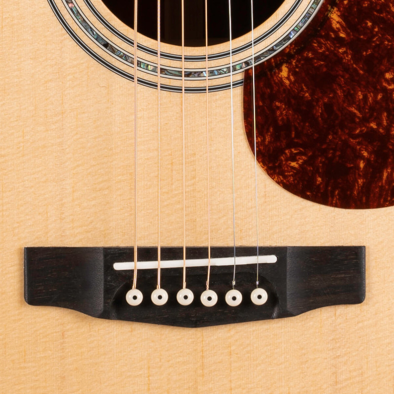 Cort Earth 100 NS