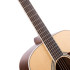 Cort Earth 100 NS