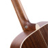 Cort Earth 100 NS
