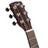 Cort Earth 100 NS