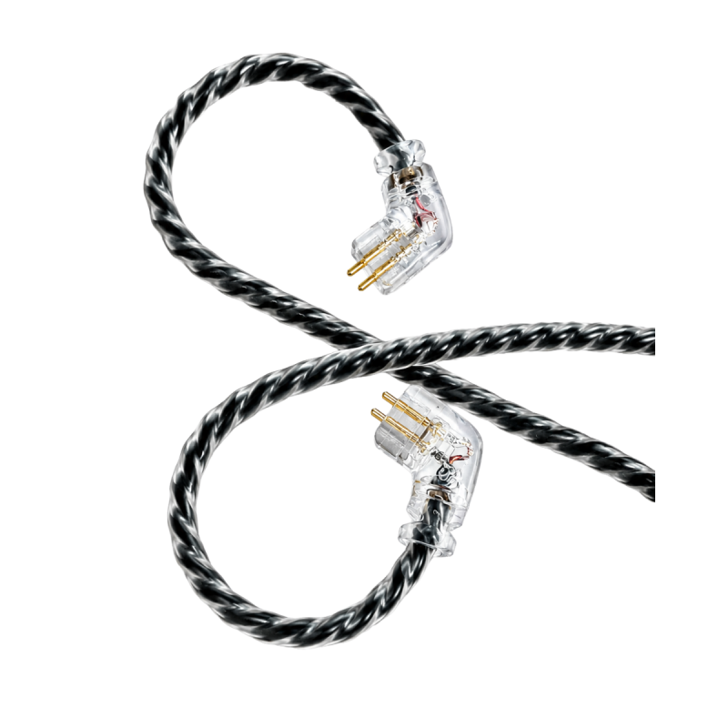 Double IER1 In Ear