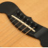 Planet Waves PWPS10