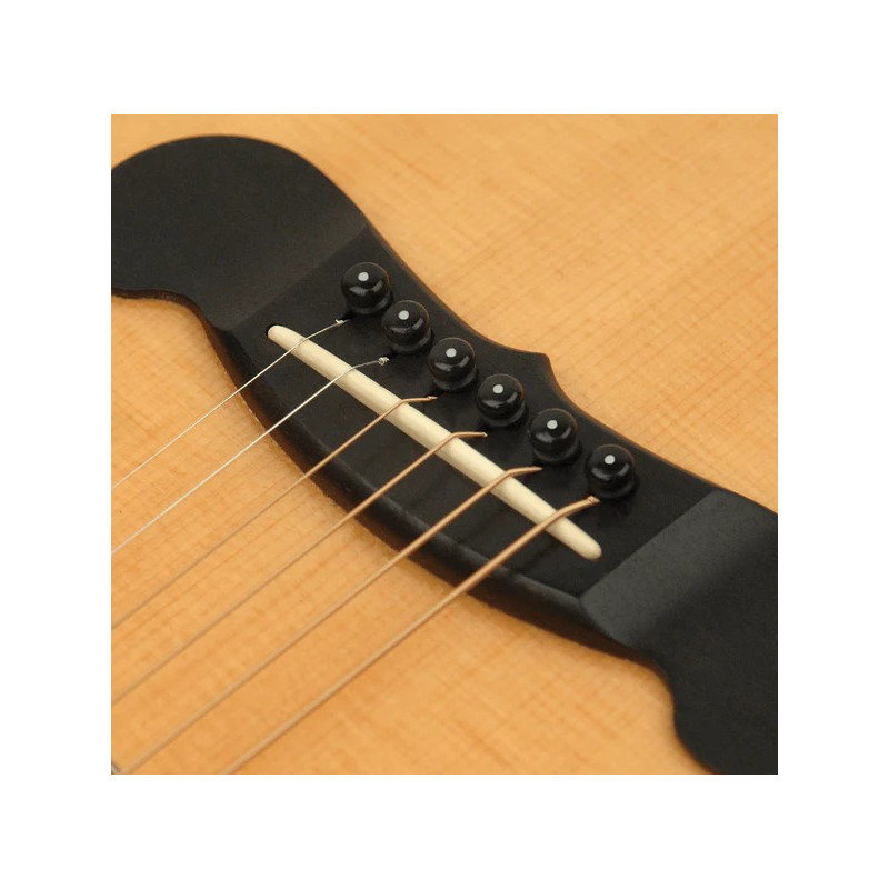 Planet Waves PWPS10