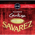 Savarez 510ARP Alliance Cantiga Premium