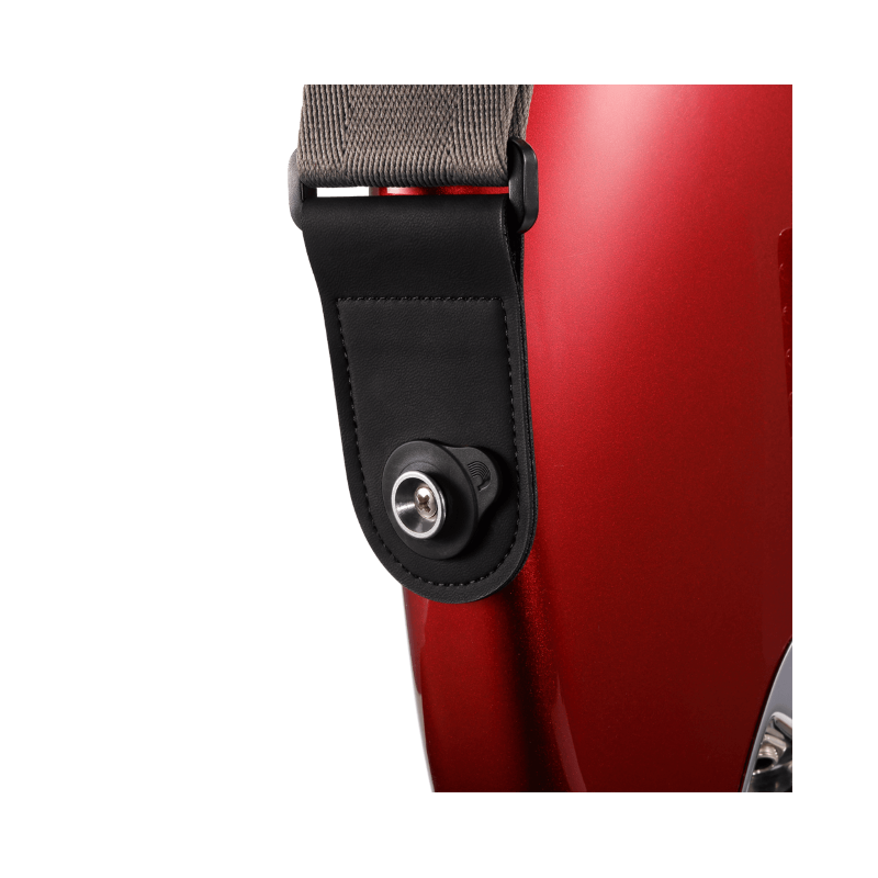 Daddario PW-FLSB-04BK Bloqueo