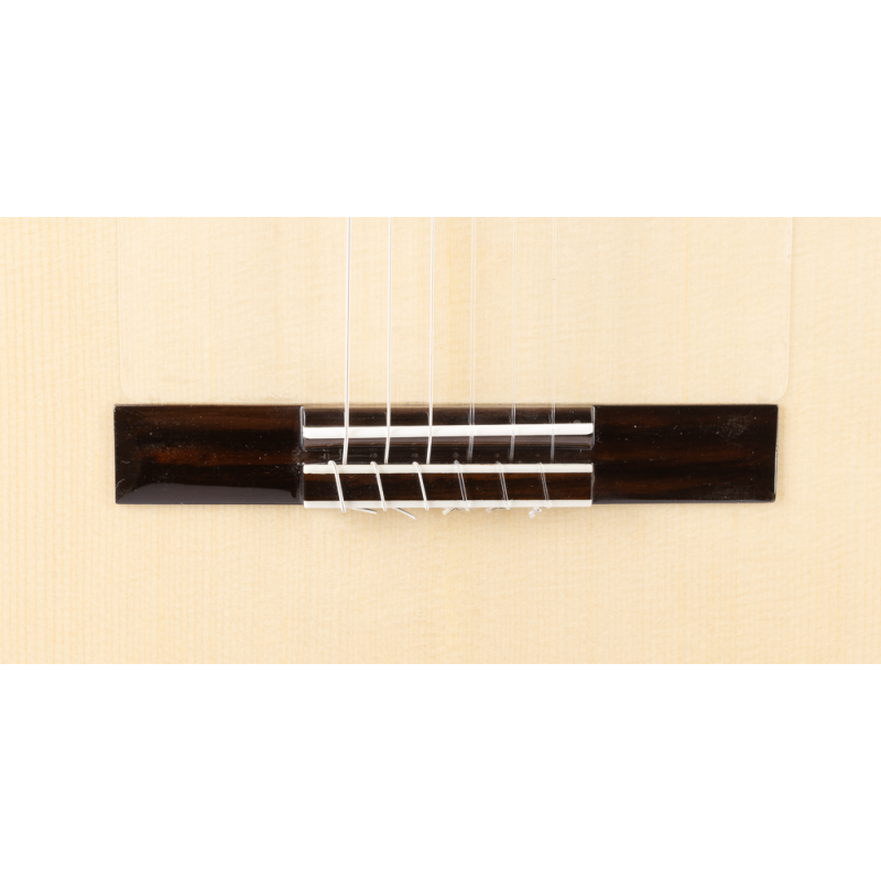 Admira Lucia Flamenco Cutaway with Fishman electronics