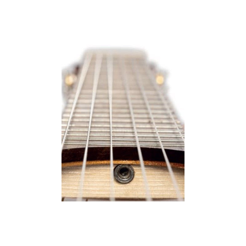 Admira Lucia Flamenco Cutaway with Fishman electronics