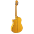 Admira Buleria Flamenco Cutaway with Fishman pickup