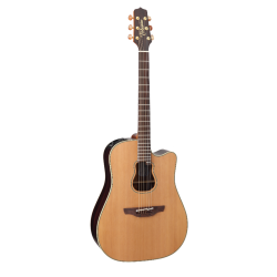 Takamine GB7 Garth Brooks