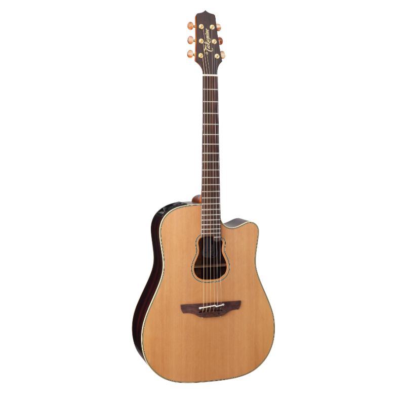 Takamine GB7 Garth Brooks