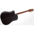 Takamine GB7 Garth Brooks