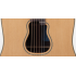 Takamine GB7 Garth Brooks