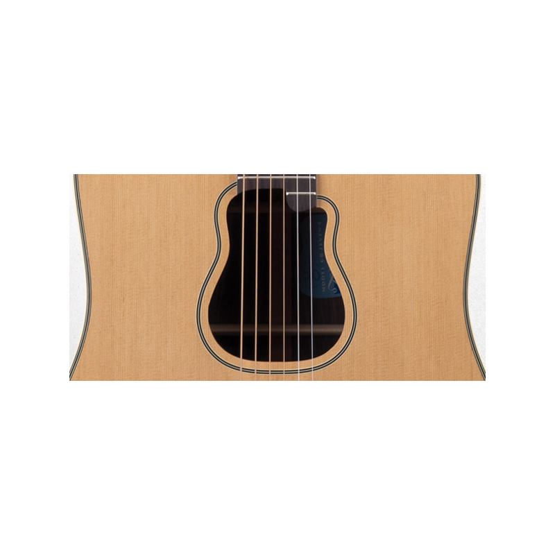 Takamine GB7 Garth Brooks
