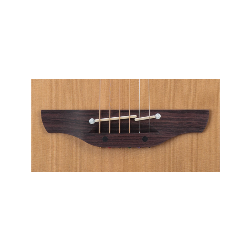 Takamine GB7 Garth Brooks