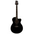PRS SE A20E Black Top