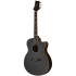 PRS SE A20E Black Top