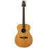 PRS SE T60E Nat Sonitone
