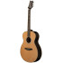 PRS SE T60E Nat Sonitone