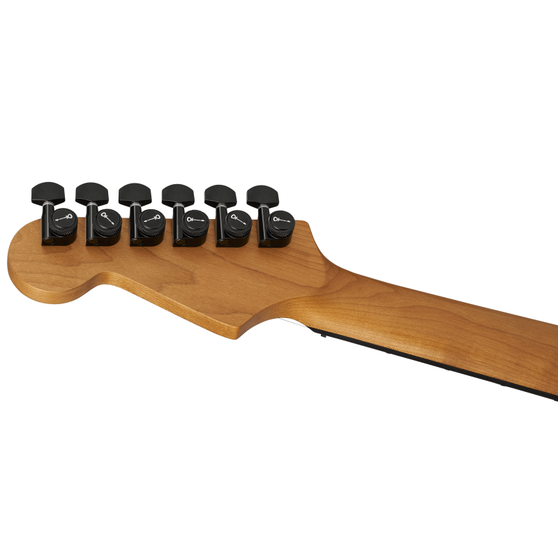 Charvel Pro Mod DK24 HH HT Black Ash