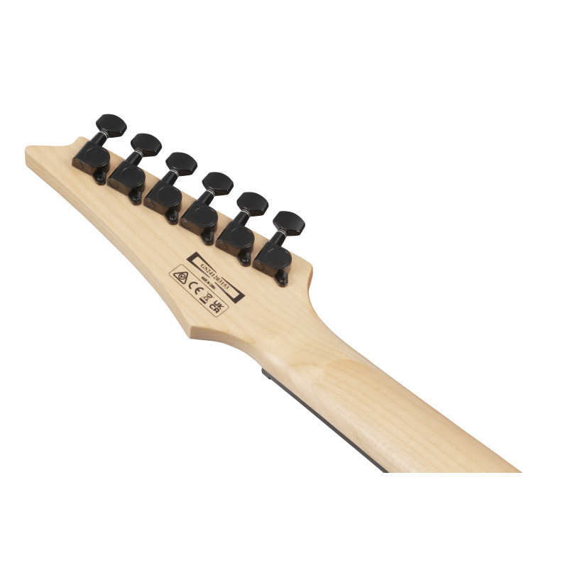 Ibanez GRG120QASPBKG Black Gradation