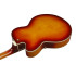Ibanez AF115AWB Aged Whiskey Burst