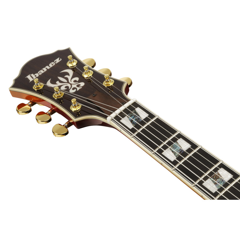 Ibanez AF115AWB Aged Whiskey Burst