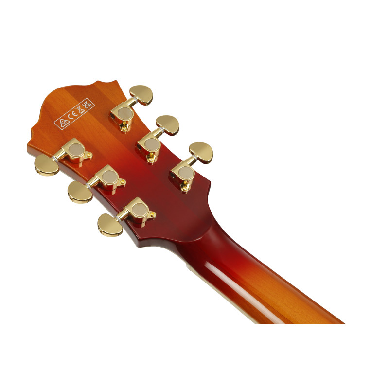 Ibanez AF115AWB Aged Whiskey Burst