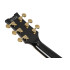 Ibanez AM73GBK Black