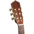 Jose Gomez F80RS Flamenca