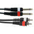 Gewa 2 RCA - 2 Jack Mono 6 m