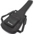 Ibanez ICB620BKF Black Flat