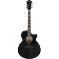 Ibanez AE170TBK Transparent Black High Gloss