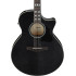 Ibanez AE170TBK Transparent Black High Gloss