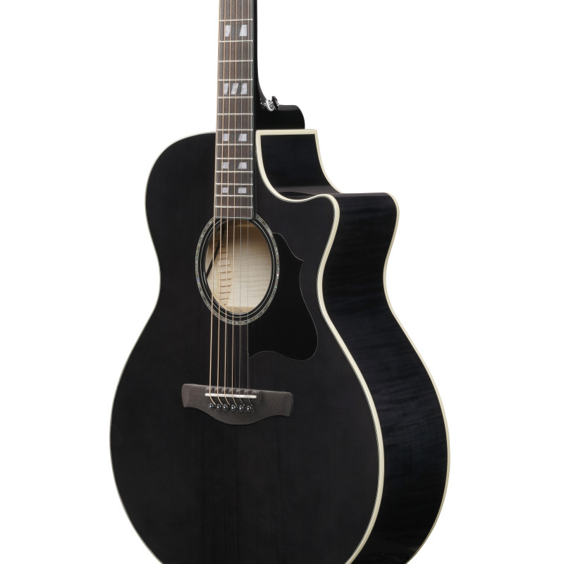 Ibanez AE170TBK Transparent Black High Gloss