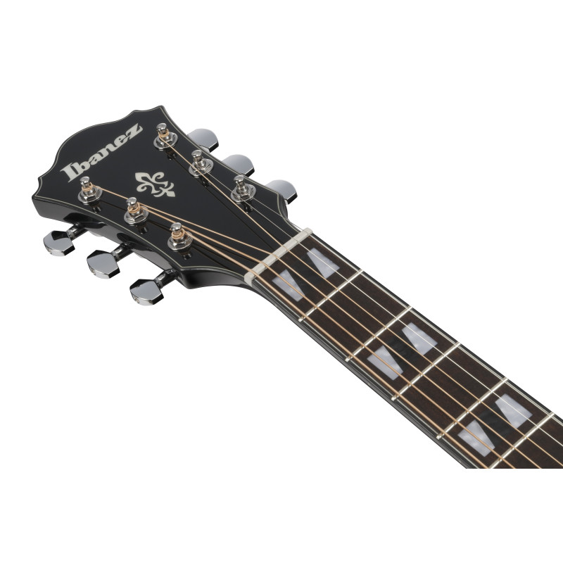 Ibanez AE170TBK Transparent Black High Gloss