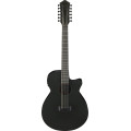 Ibanez AEG1221BOT Black Out