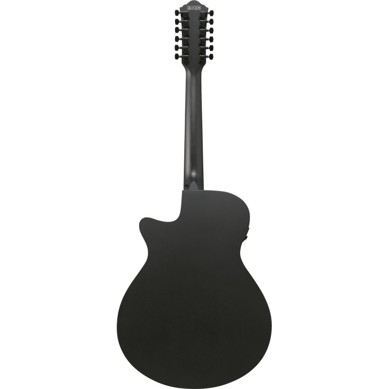 Ibanez AEG1221BOT Black Out